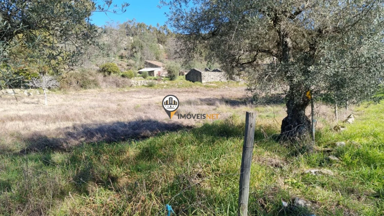 Terreno para Venda em Penamacor Foto 15