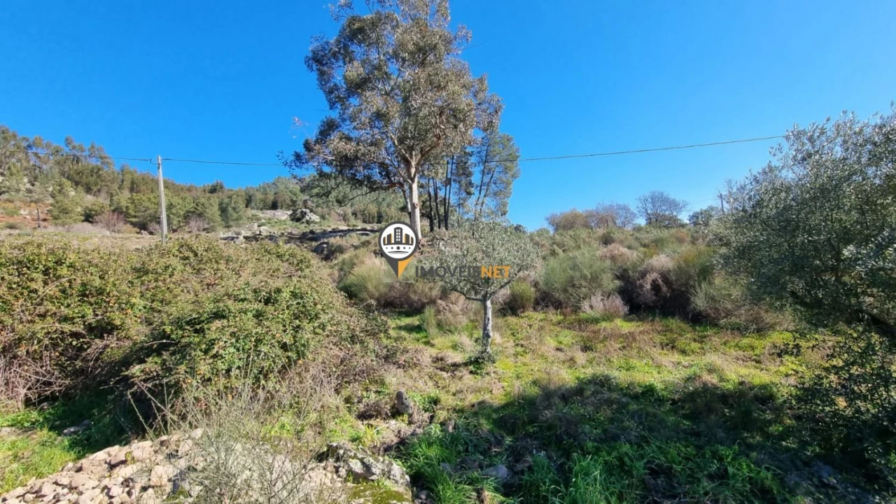 Terreno para Venda em Penamacor Foto 16