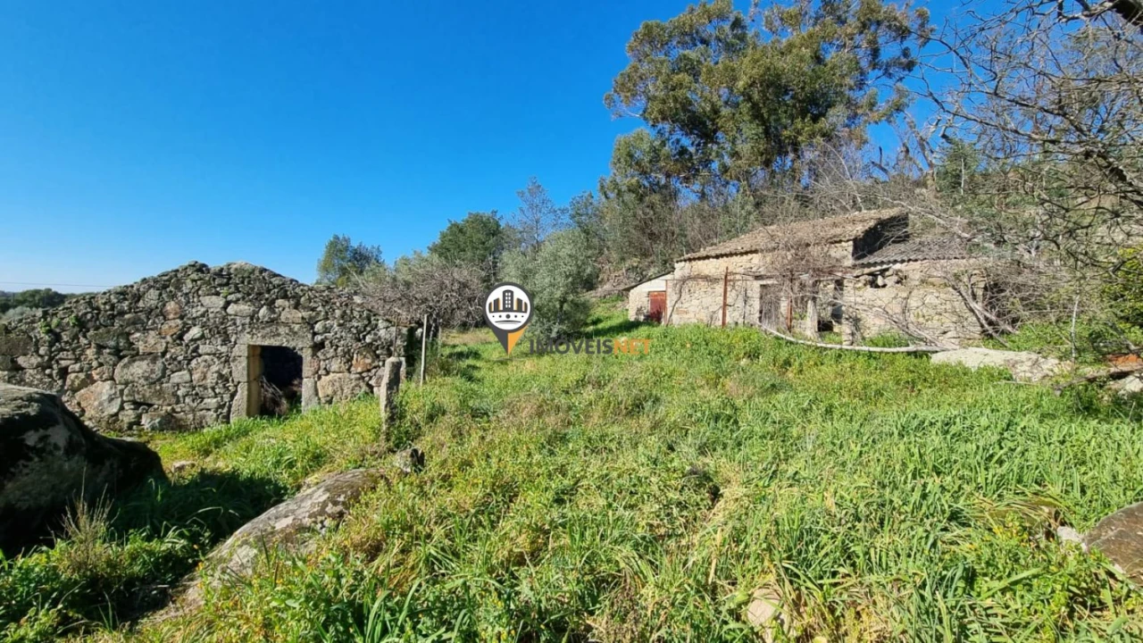 Terreno para Venda em Penamacor Foto 5