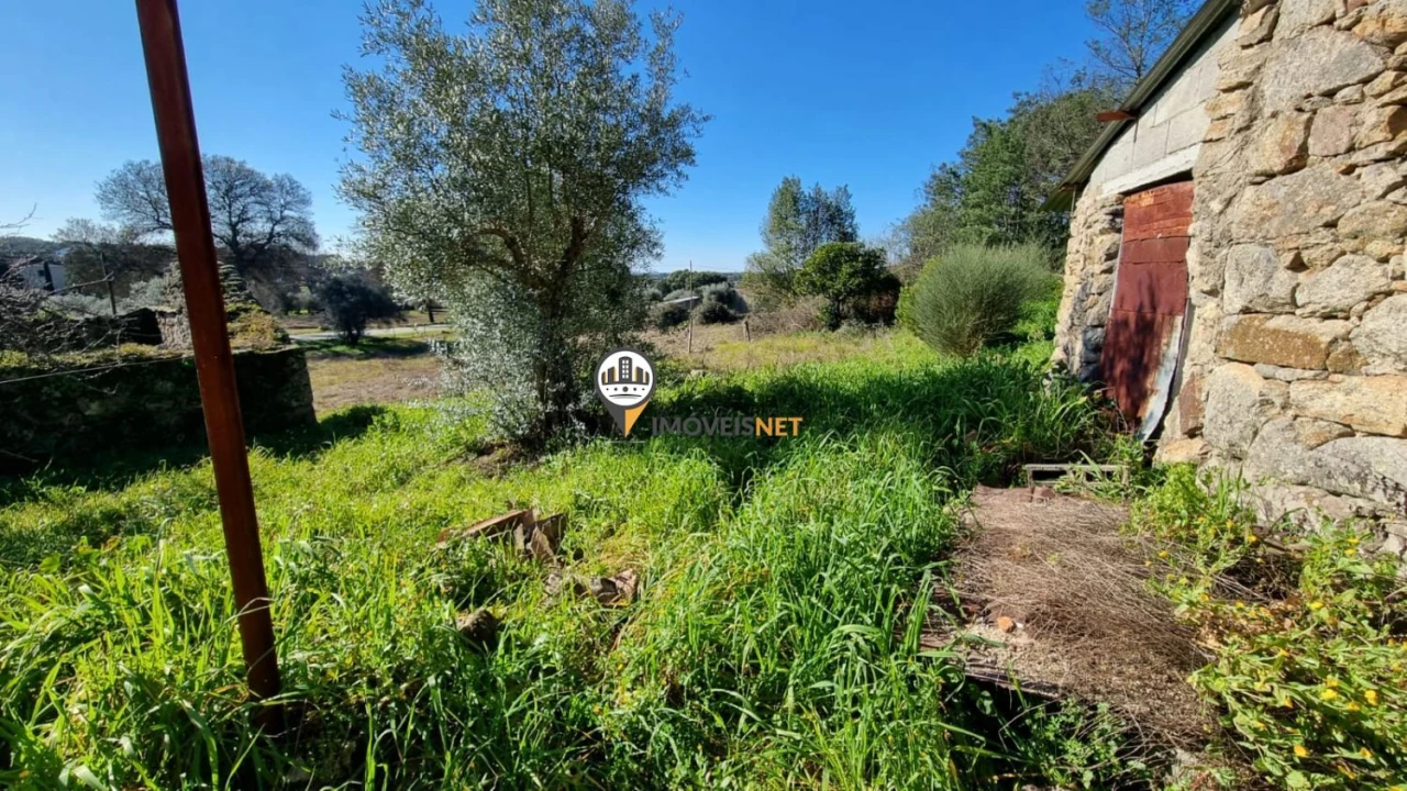 Terreno para Venda em Penamacor Foto 12