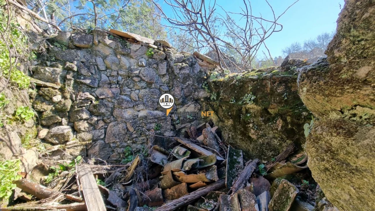 Terreno para Venda em Penamacor Foto 4