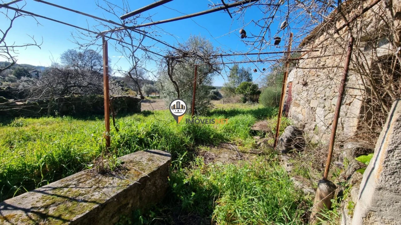 Terreno para Venda em Penamacor Foto 6
