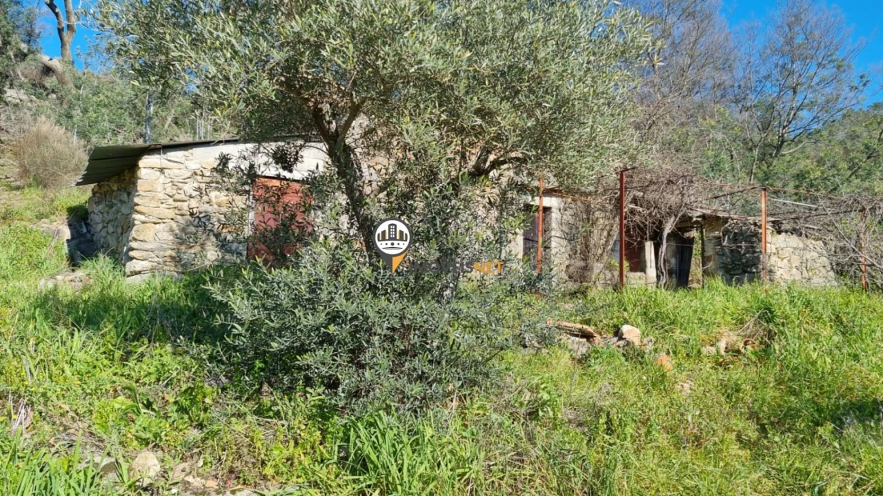 Terreno para Venda em Penamacor Foto 7