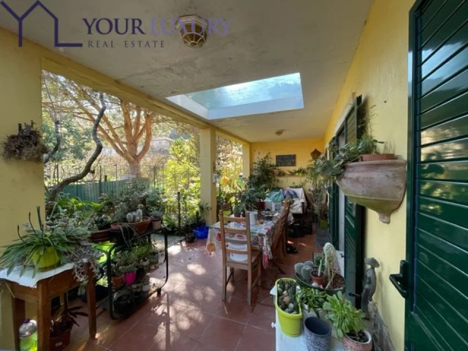 Quinta T2 para Venda em Santa Maria e São Miguel, São Martinho, São Pedro Penaferrim Foto 55