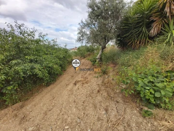 Moradia T3 para Venda em Castelo Branco