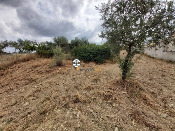 Moradia T3 para Venda em Castelo Branco Foto 18