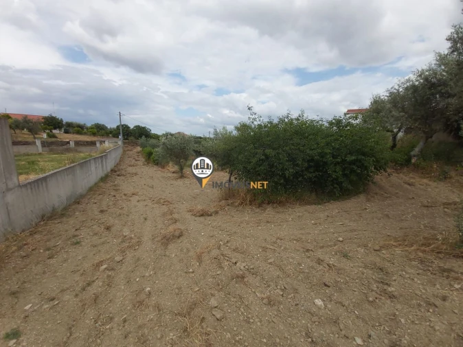 Moradia T3 para Venda em Castelo Branco Foto 4