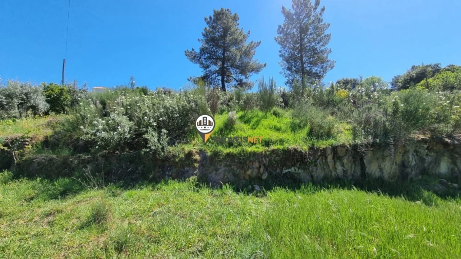 Moradia T3 para Venda em São Vicente da Beira Foto 34