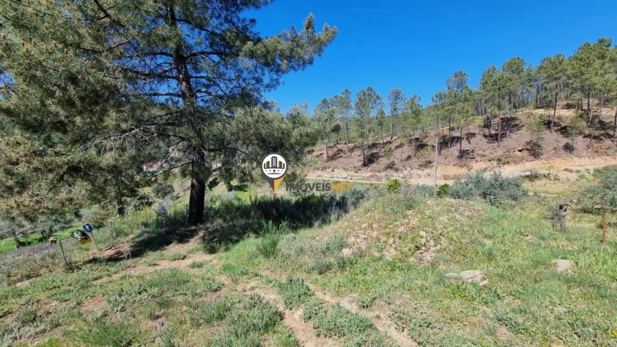 Moradia T3 para Venda em São Vicente da Beira Foto 41