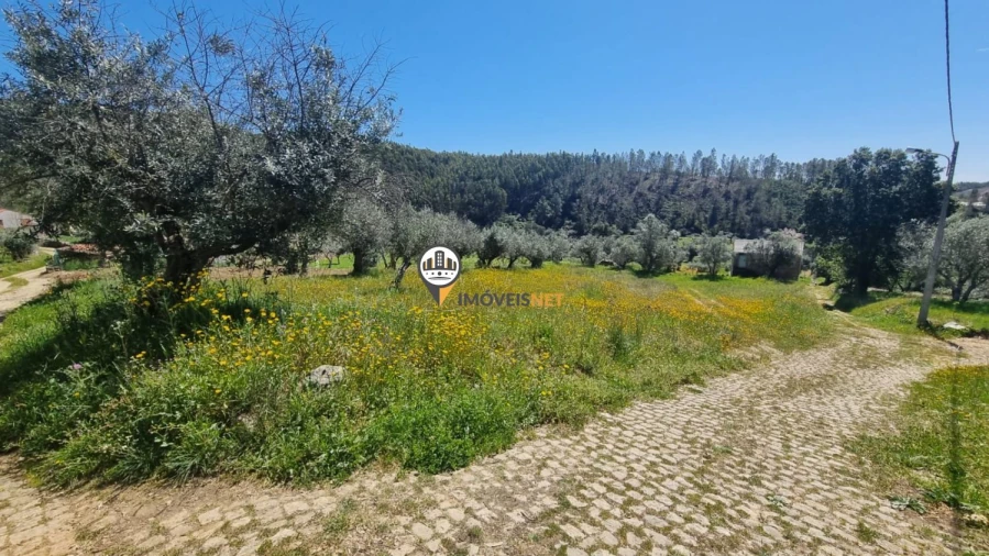 Moradia T3 para Venda em São Vicente da Beira Foto 5