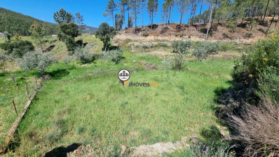 Moradia T3 para Venda em São Vicente da Beira Foto 6