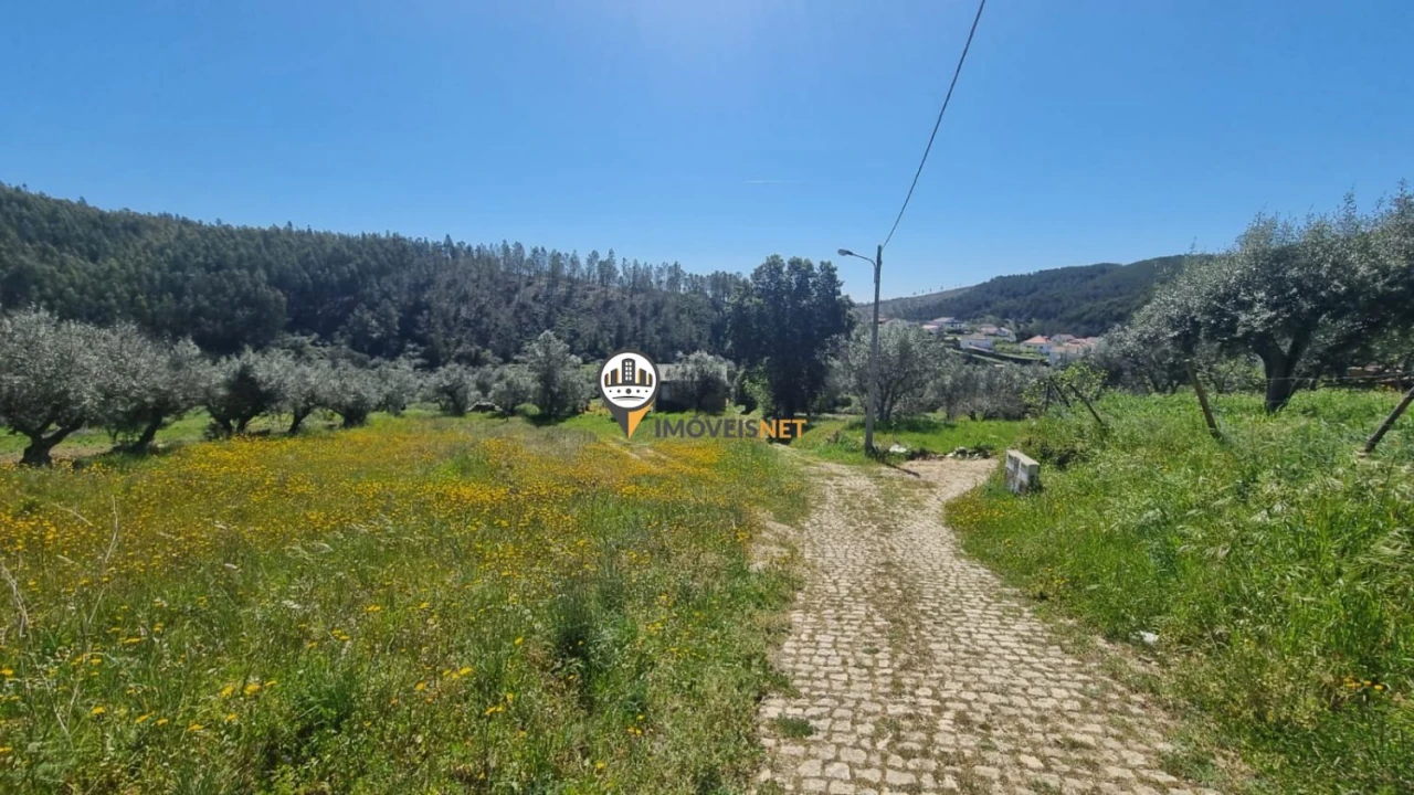 Moradia T3 para Venda em São Vicente da Beira Foto 37