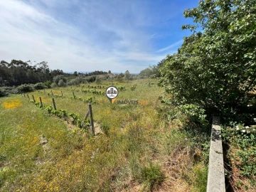 Terreno para Venda em Castelo Branco