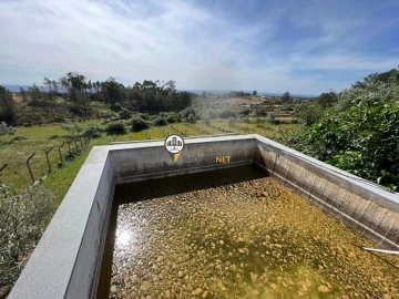 Terreno para Venda em Castelo Branco