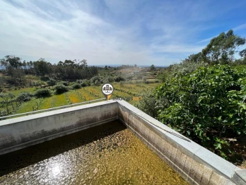 Terreno para Venda em Castelo Branco