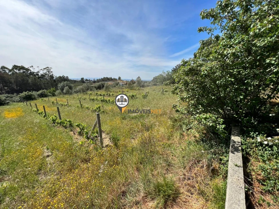 Terreno para Venda em Castelo Branco Foto 3