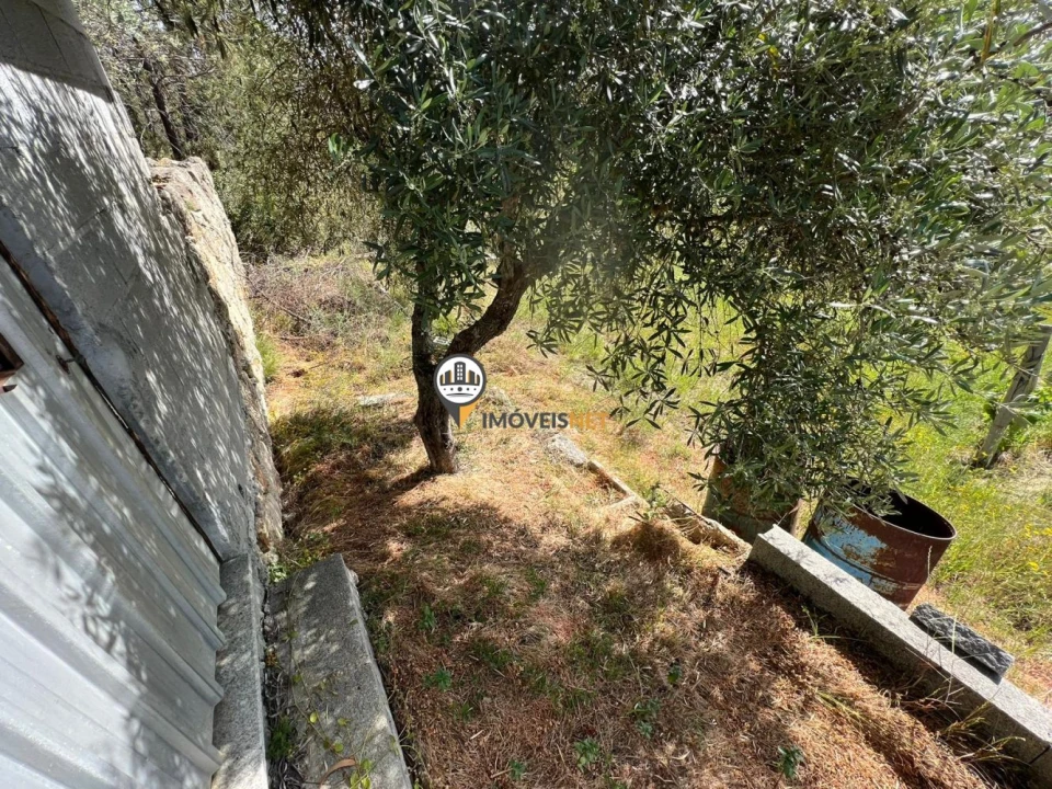 Terreno para Venda em Castelo Branco Foto 16