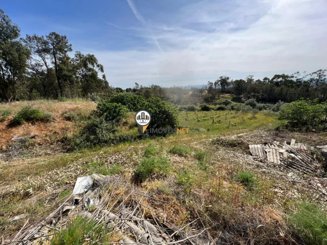 Terreno para Venda em Castelo Branco Foto 11