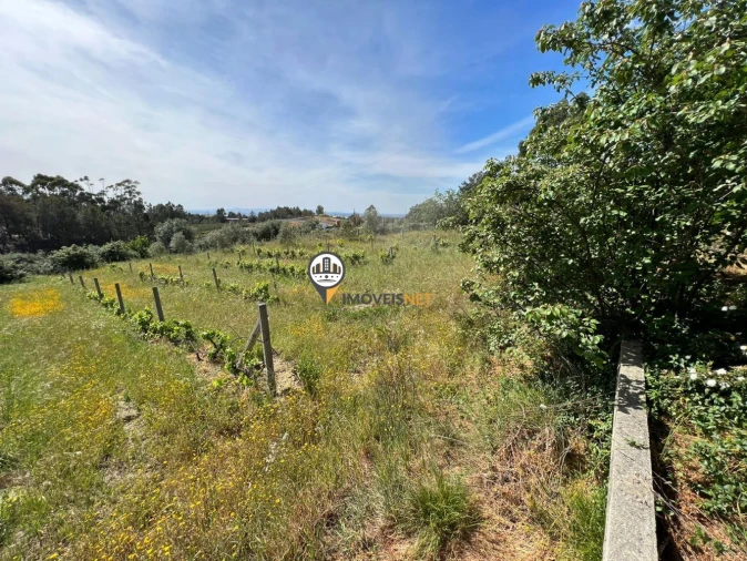 Terreno para Venda em Castelo Branco Foto 3