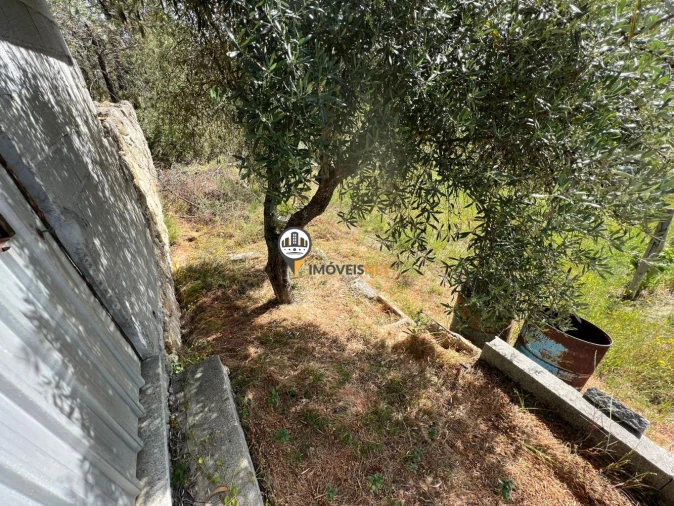Terreno para Venda em Castelo Branco Foto 16