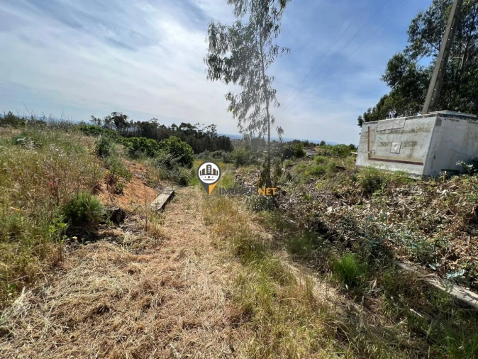 Terreno para Venda em Castelo Branco Foto 6