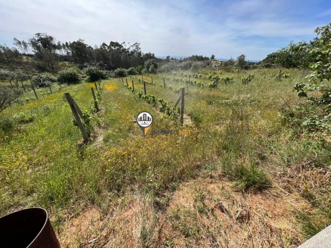Terreno para Venda em Castelo Branco Foto 18