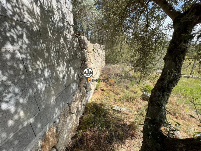 Terreno para Venda em Castelo Branco Foto 15