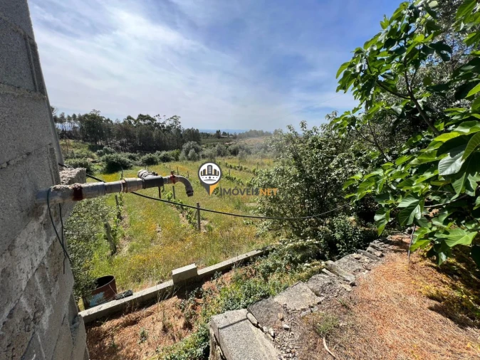 Terreno para Venda em Castelo Branco Foto 13