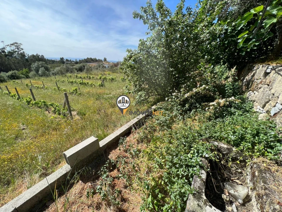 Terreno para Venda em Castelo Branco Foto 19