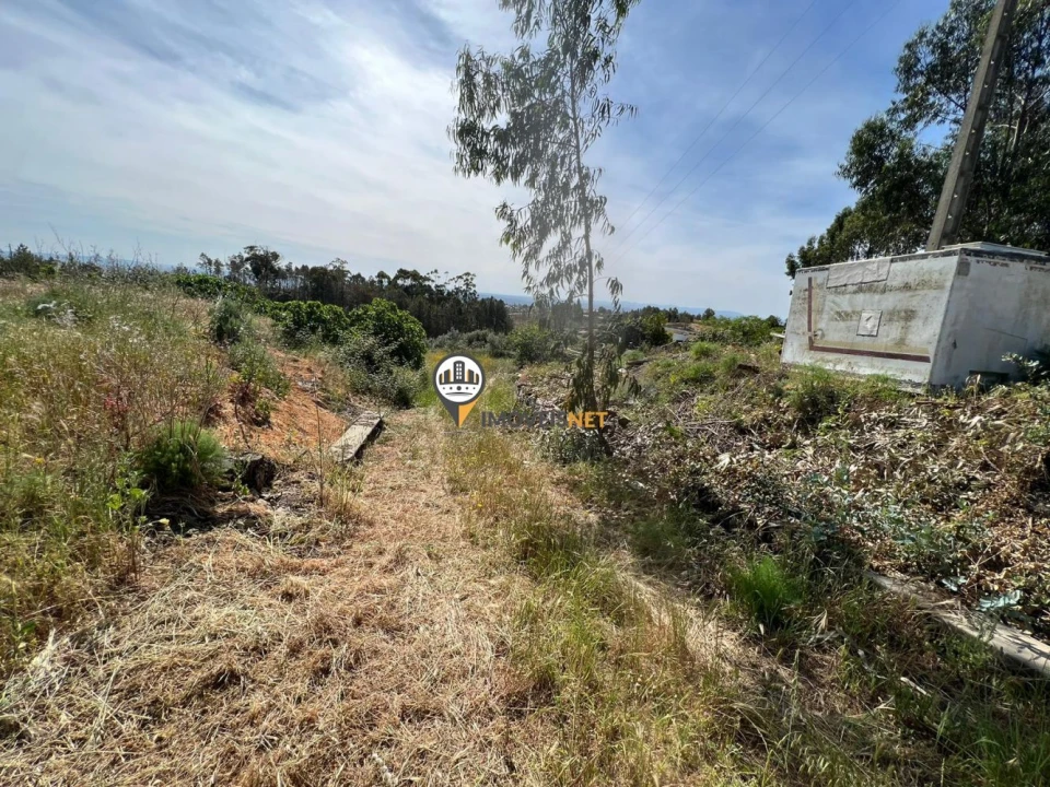 Terreno para Venda em Castelo Branco Foto 6