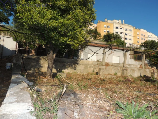 Terreno para Venda em Ramada e Caneças Foto 19