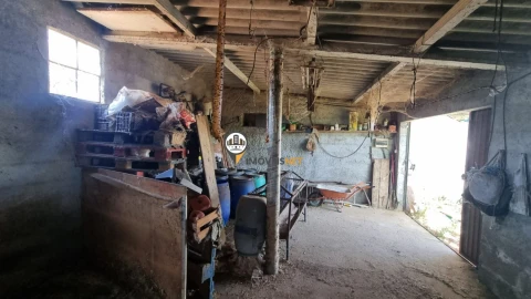 Terreno para Venda em Castelo Branco