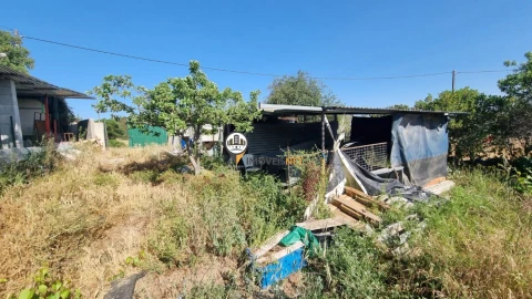 Terreno para Venda em Castelo Branco