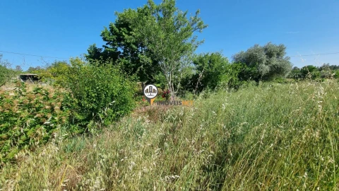 Terreno para Venda em Castelo Branco