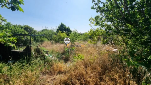 Terreno para Venda em Castelo Branco