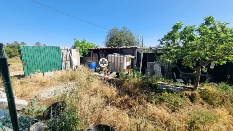 Terreno para Venda em Castelo Branco