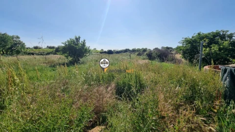 Terreno para Venda em Castelo Branco