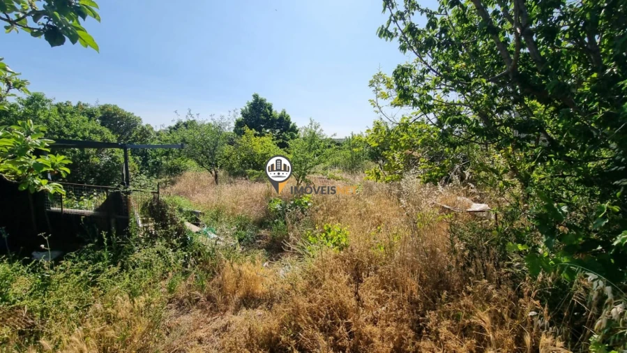Terreno para Venda em Castelo Branco Foto 10