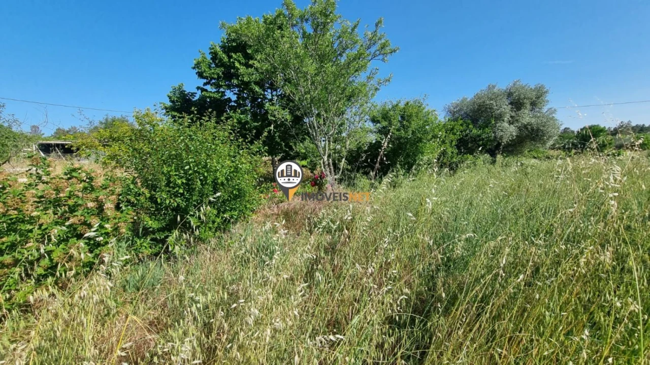 Terreno para Venda em Castelo Branco Foto 18