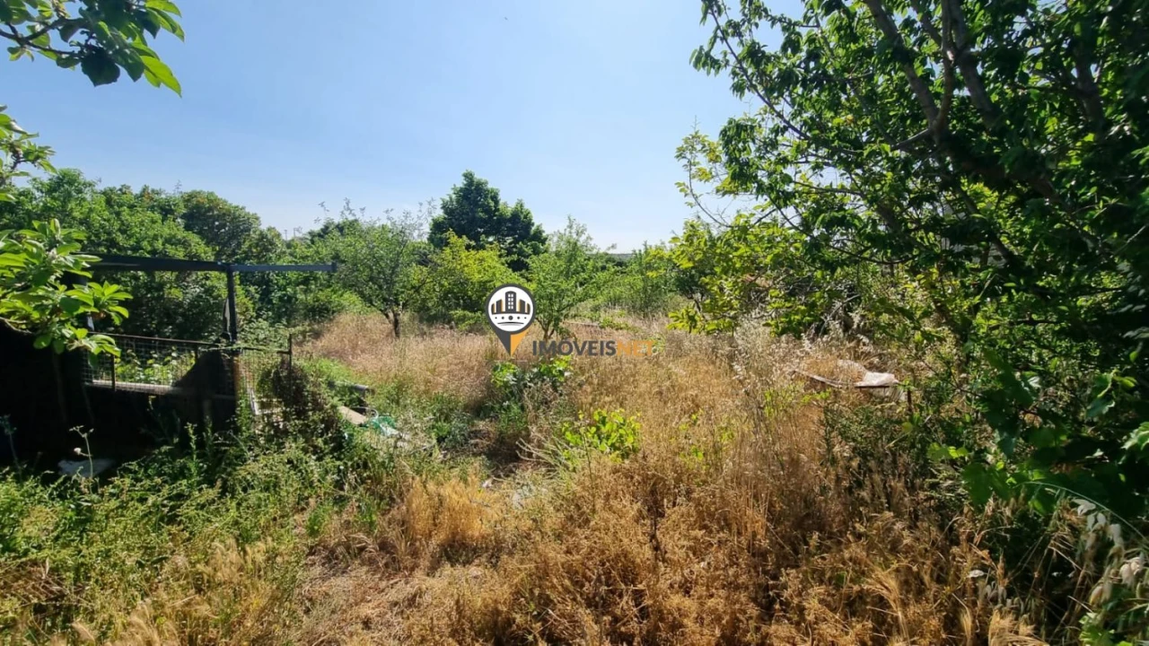 Terreno para Venda em Castelo Branco Foto 10