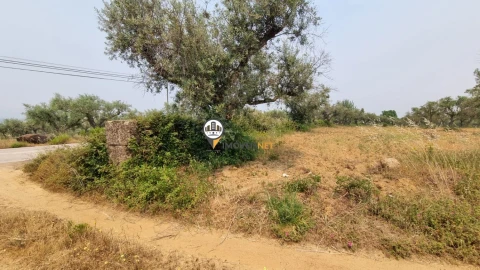 Terreno para Venda em Castelo Branco