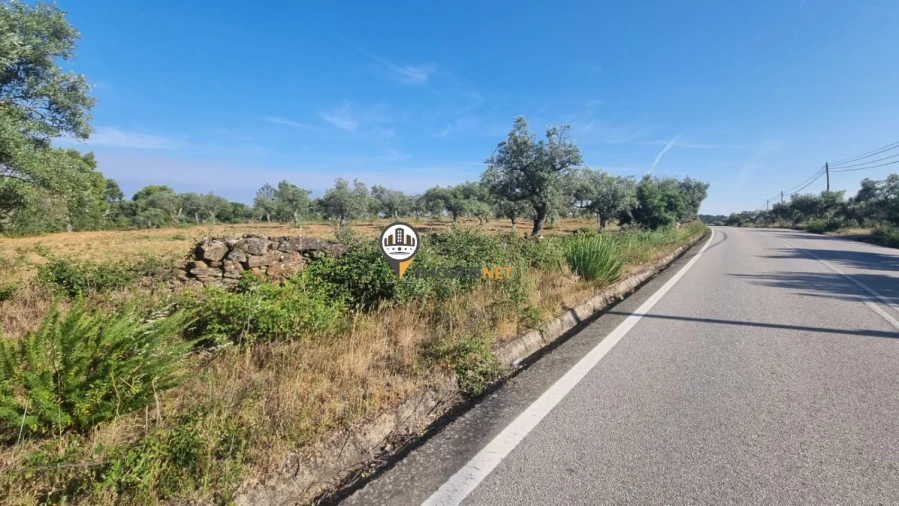 Terreno para Venda em Castelo Branco Foto 11