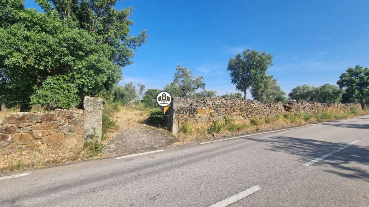 Terreno para Venda em Castelo Branco Foto 3