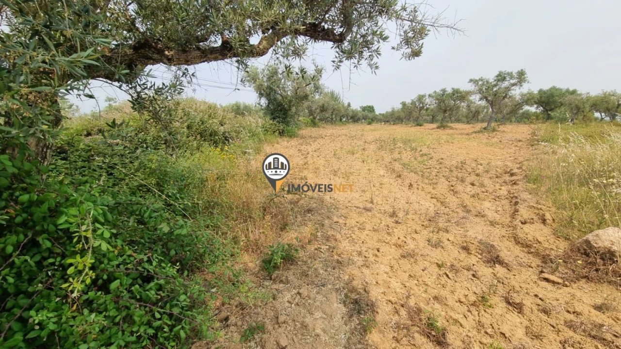 Terreno para Venda em Castelo Branco Foto 4