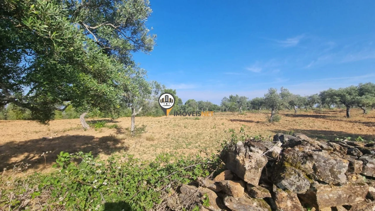 Terreno para Venda em Castelo Branco Foto 10