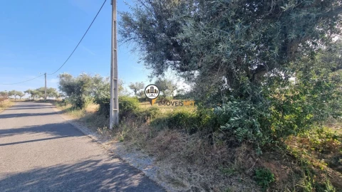 Terreno para Venda em Benquerenças
