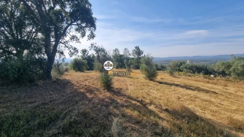 Terreno para Venda em Benquerenças