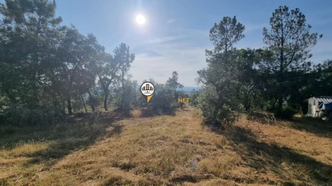 Terreno para Venda em Benquerenças