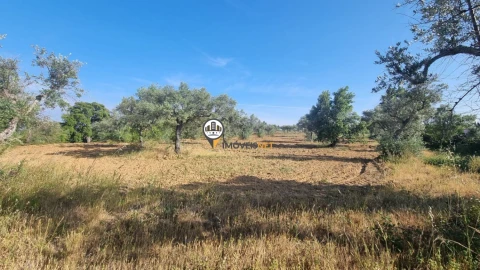 Terreno para Venda em Benquerenças