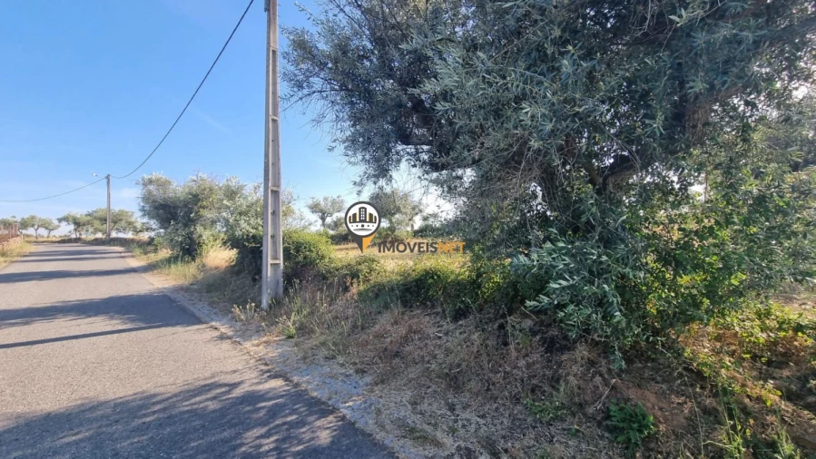 Terreno para Venda em Benquerenças